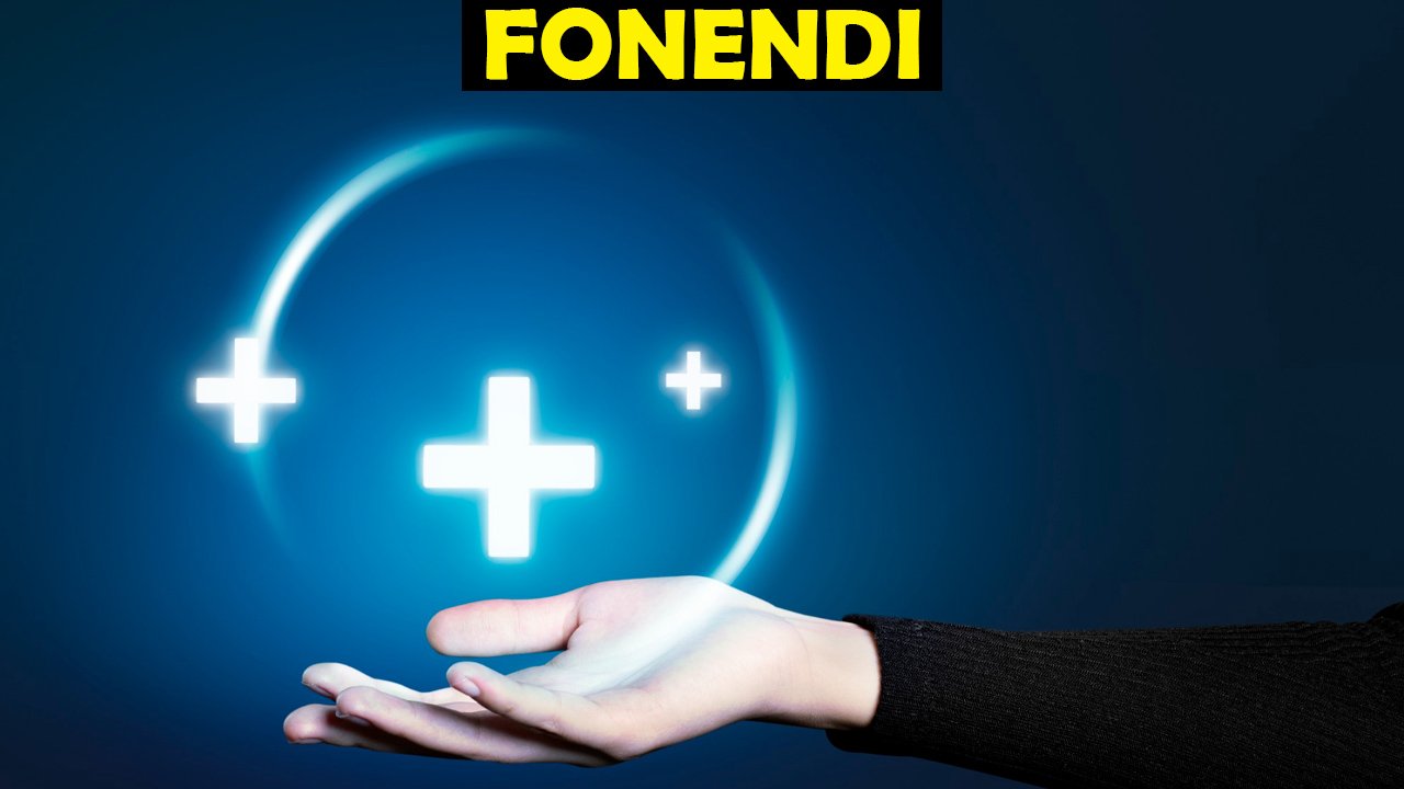 Fonendi
