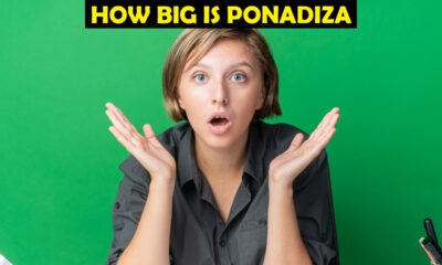 How Big Is Ponadiza