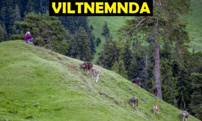 Viltnemnda