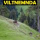 Viltnemnda