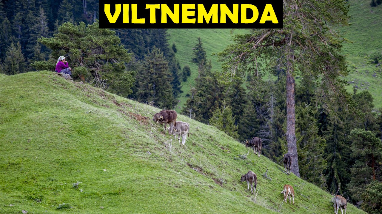 Viltnemnda