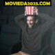 Movieda2023.com