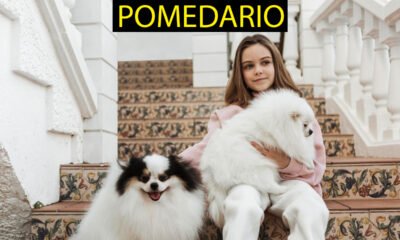 Pomedario
