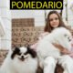 Pomedario