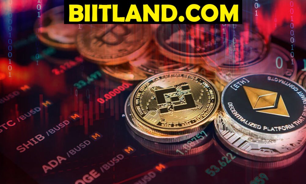 Biitland.com