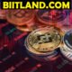 Biitland.com