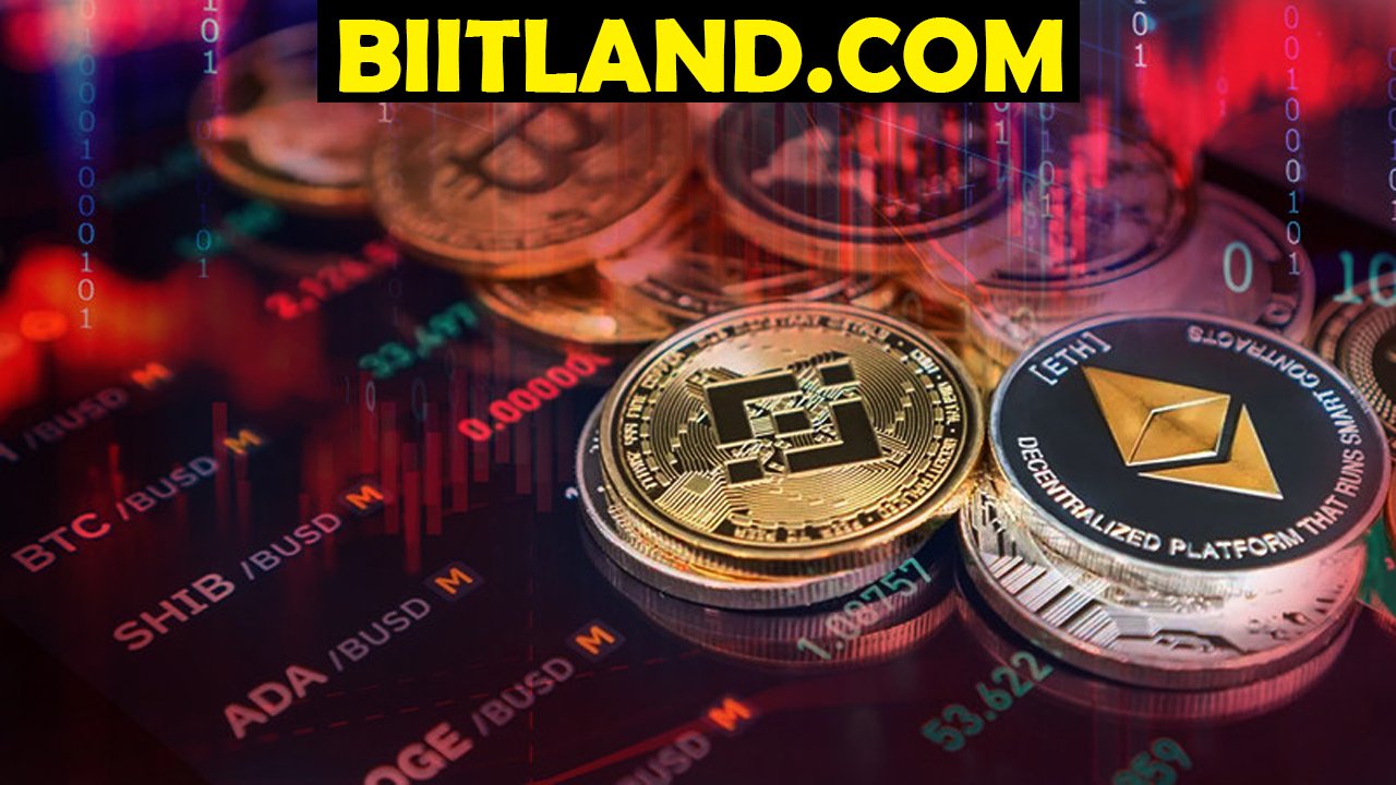 Biitland.com