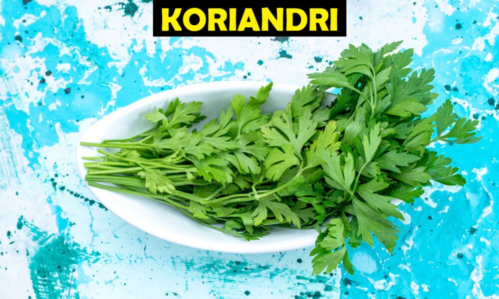 Koriandri