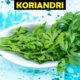 Koriandri