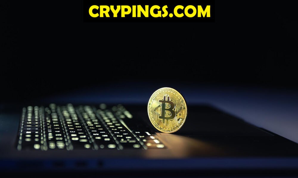 Crypings.com