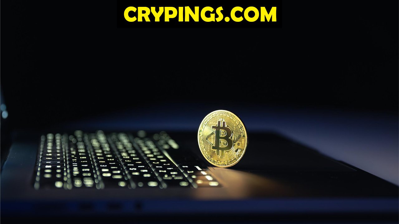 Crypings.com