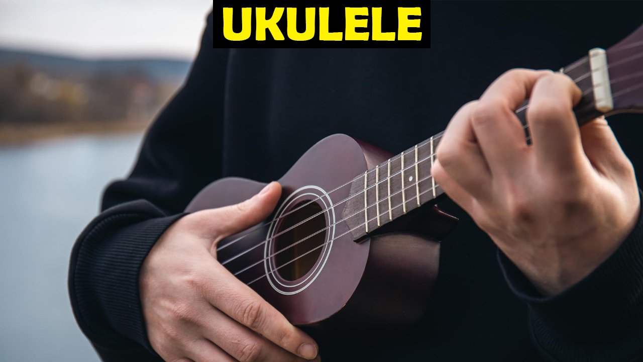 Ukulele