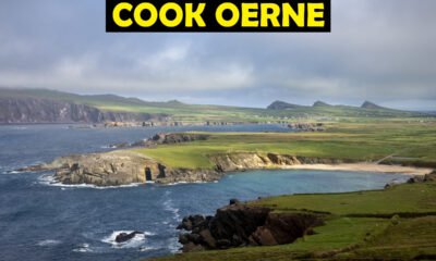 Cook Oerne