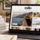 milomagazine.co.uk