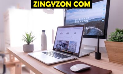 Zingyzon Com